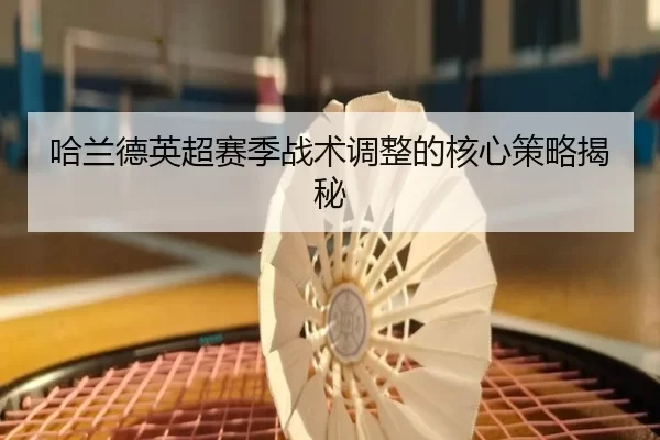 哈兰德英超赛季战术调整的核心策略揭秘