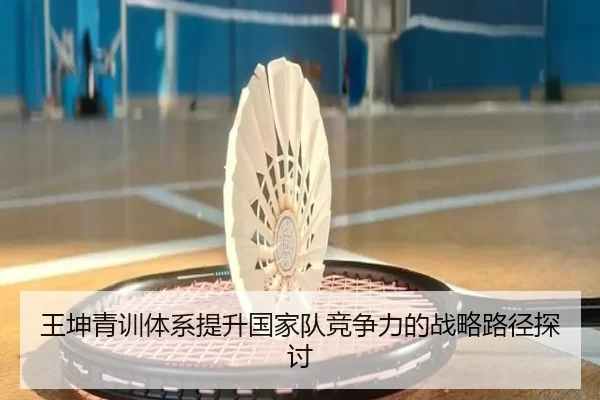 王坤青训体系提升国家队竞争力的战略路径探讨